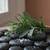 Aromatic Aquatic