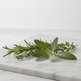 Aromatic Herbs