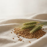 Barley