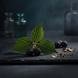 Blackberry Leaf