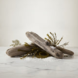 Driftwood
