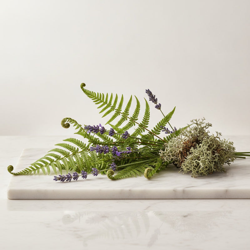 Fougere — Freshly cut fern fronds arranged with lavender sprigs and oakmoss on pale marble.