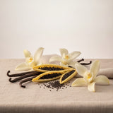 Madagascar Vanilla
