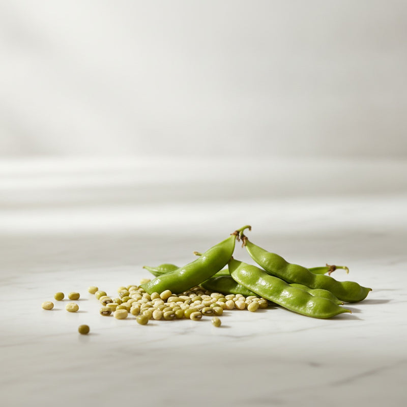 Mung Bean — Scattered dried mung beans with fresh green mung bean pods on pale marble surface.