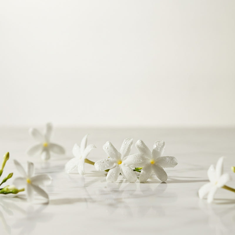 Star Jasmine — Star jasmine flowers in full bloom with dewy petals on a pale marble surface.