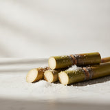 Sugar Cane