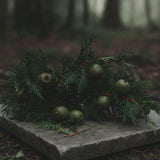 Cypress