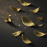 Singapore Patchouli