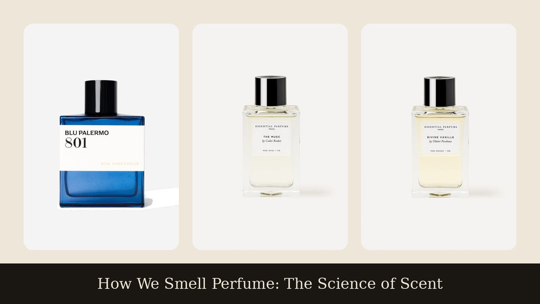 Three fragrances side by side on a cream background: Bon Parfumeur 801 Blu Palermo, Essential Parfums The Musc and Essential Parfums Divine Vanille