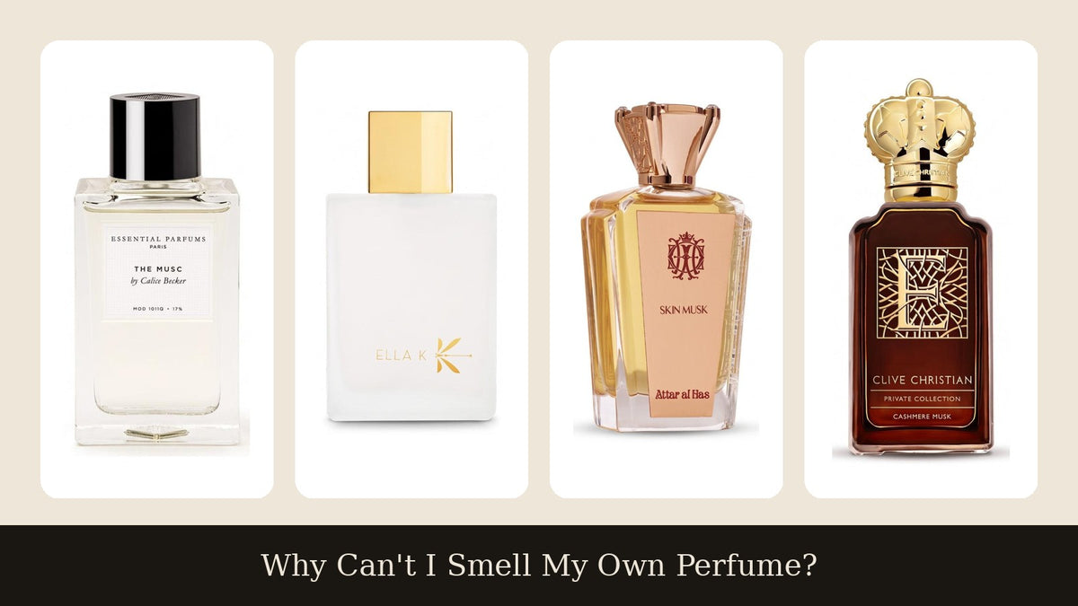 Four musky skin-scent perfumes side by side: Essential Parfums The Musc, Ella K Musc K, Attar Al Has Skin Musk and Clive Christian E Cashmere Musk