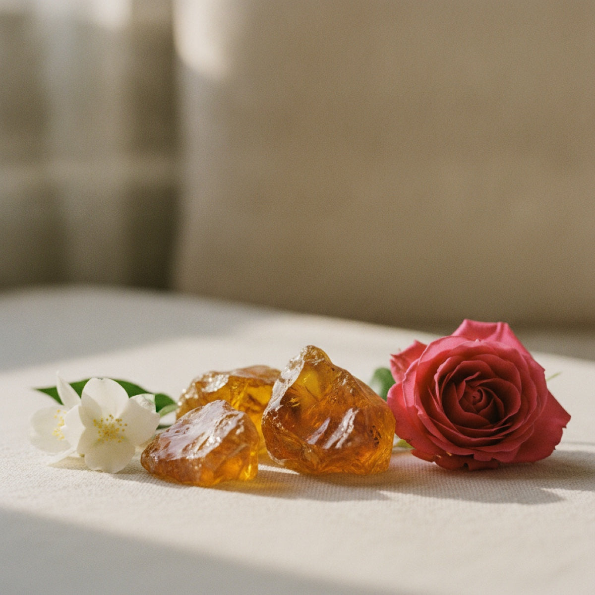 Amber Floral — fragrance family ingredients
