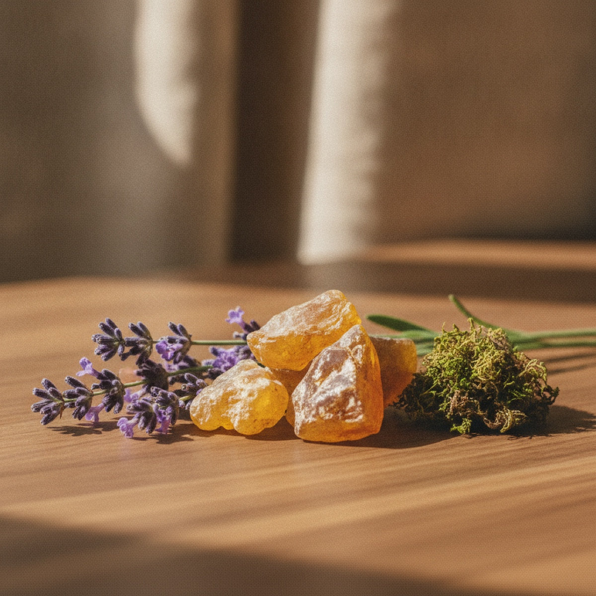 Amber Fougere — fragrance family ingredients