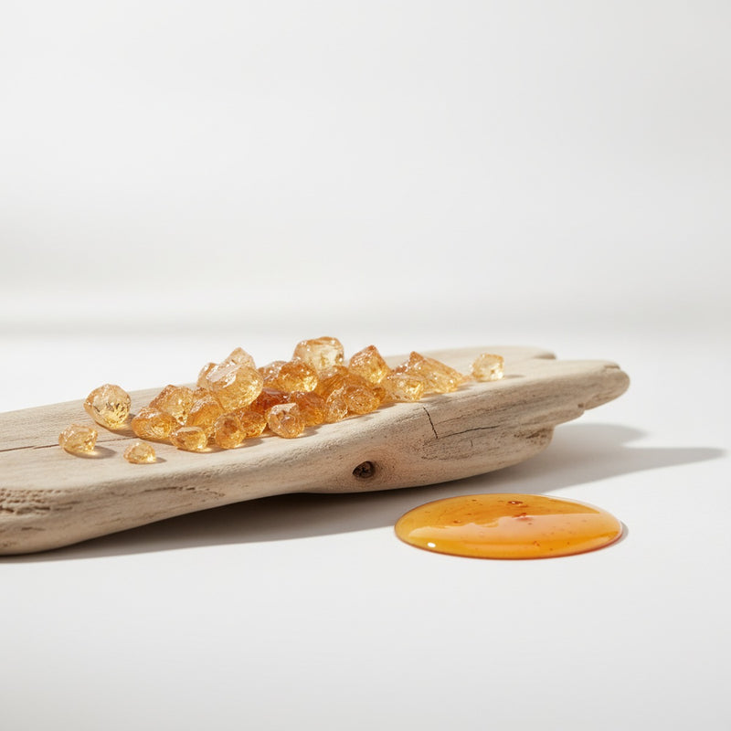 Ambrox Super — Warm ambroxan crystals scattered across pale driftwood with soft amber resin pooling nearby.