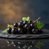 Black Currant