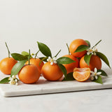 Clementine