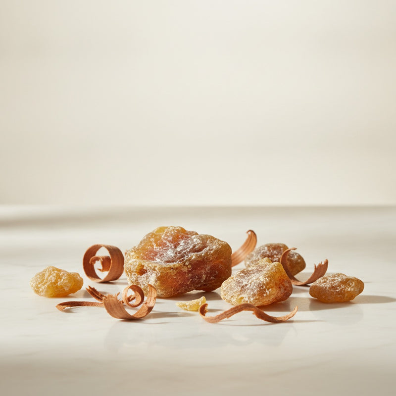 Gurjun Balsam — Weathered chunks of amber-hued gurjun balsam resin with scattered cedarwood shavings on pale marble.