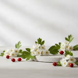 Hawthorn