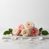 May Rose