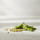 Mung Bean