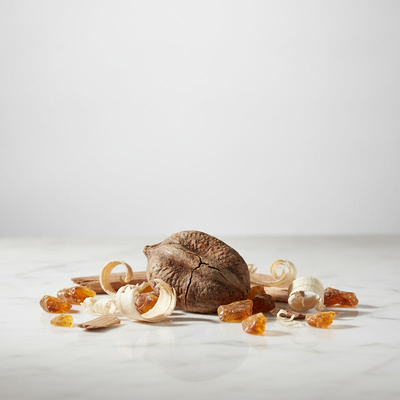 Muscenone — Dried deer musk pod with scattered ambroxan-hued amber resin and creamy sandalwood chips on marble.