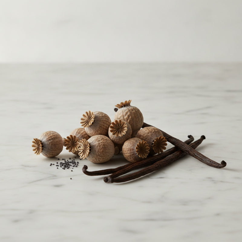 Narcotic — Opium poppy seed pods and dark vanilla beans arranged on pale marble with soft diffused light.