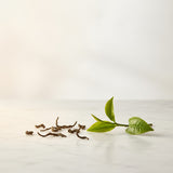Oolong Tea