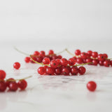 Red Currant