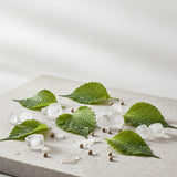 Shiso