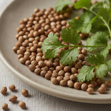 Coriander