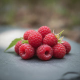 Raspberry