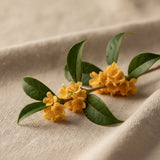 Osmanthus