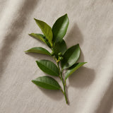 Petitgrain