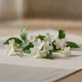 Jasmine