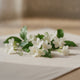 Jasmine