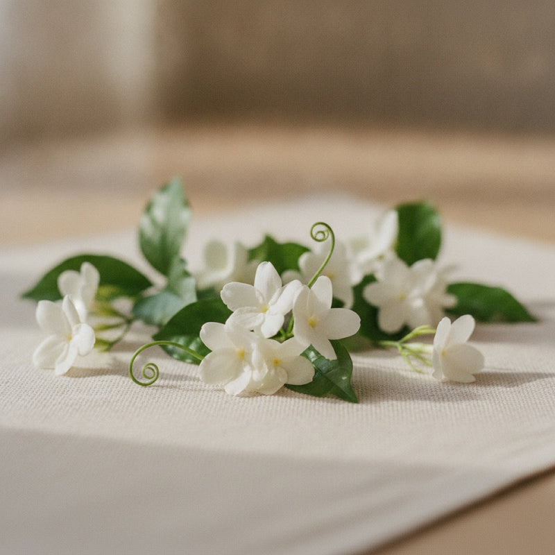 Jasmine sambac blossoms