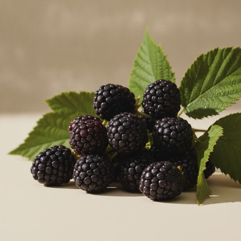 Blackberry
