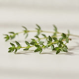 Thyme