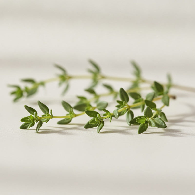 Thyme