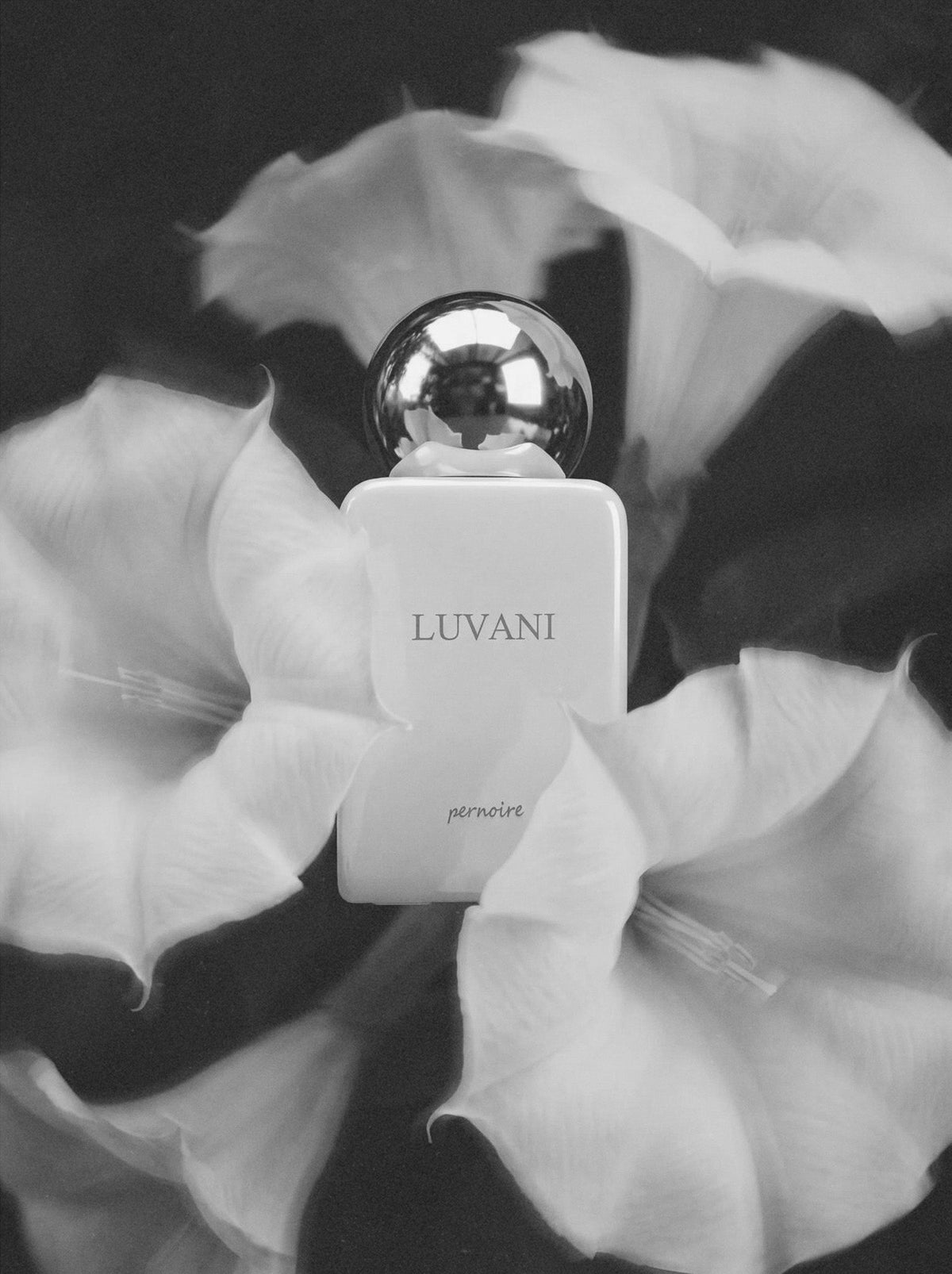 Pernoire Luvani Extrait de Parfum