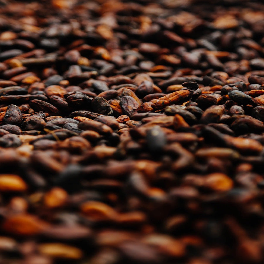 Base — tonka bean