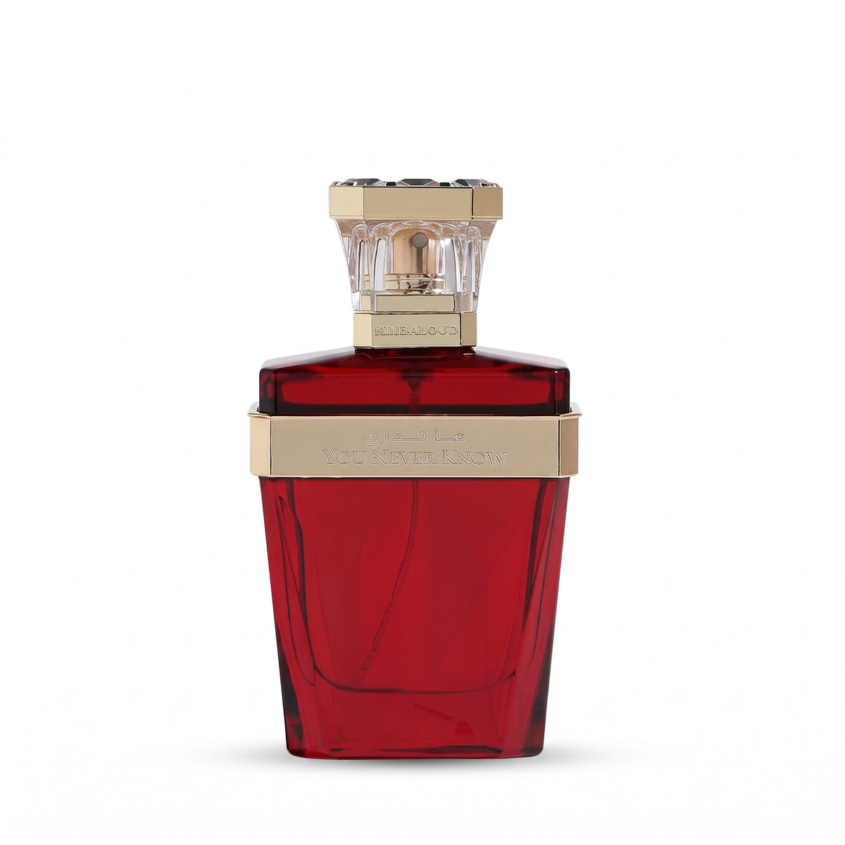 Hind Al Oud You Never Know Parfum