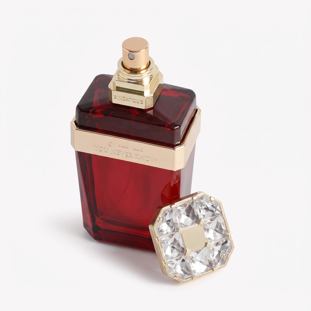 Hind Al Oud You Never Know Parfum