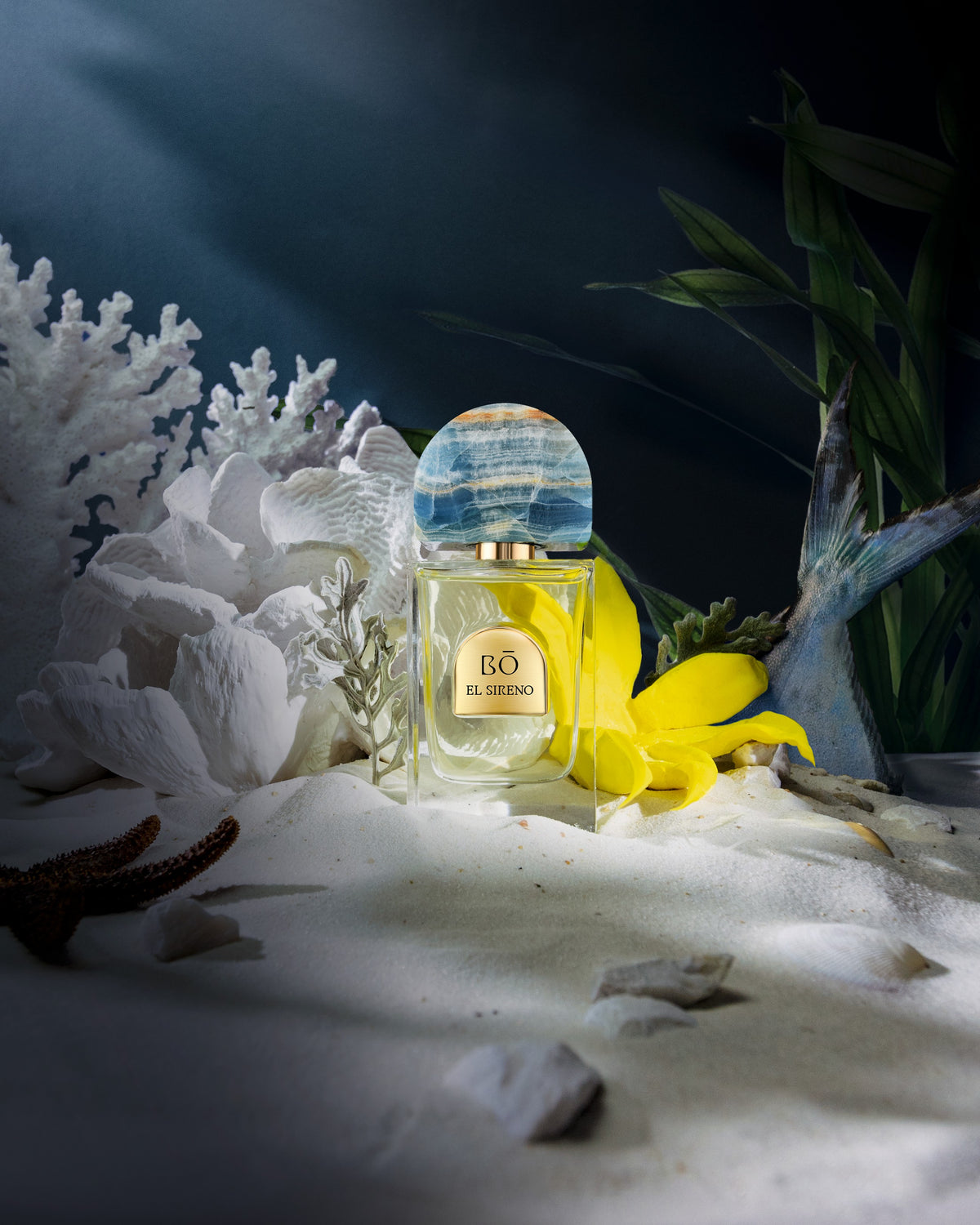 House of Bō El Sireno Parfum